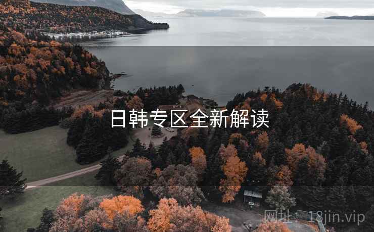 日韩专区全新解读