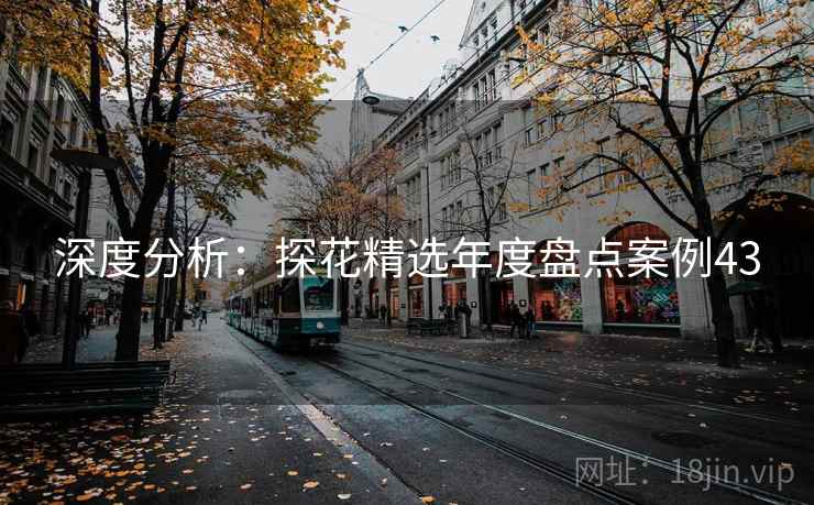 深度分析：探花精选年度盘点案例43