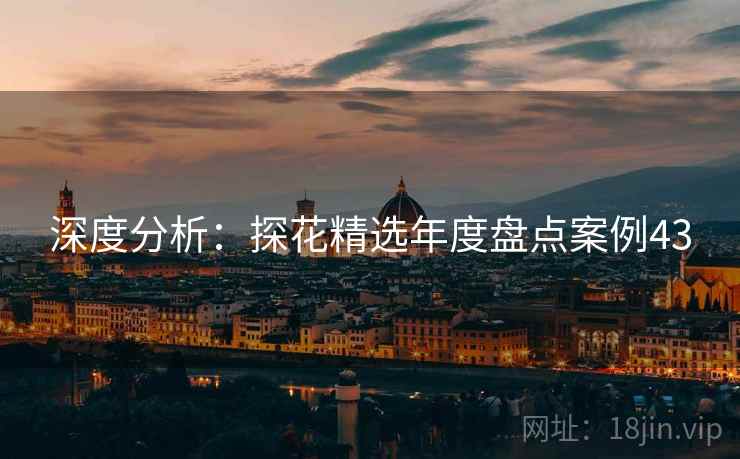 深度分析：探花精选年度盘点案例43