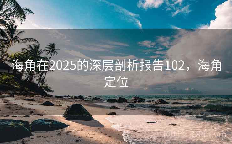 海角在2025的深层剖析报告102，海角定位