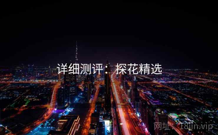 详细测评：探花精选
