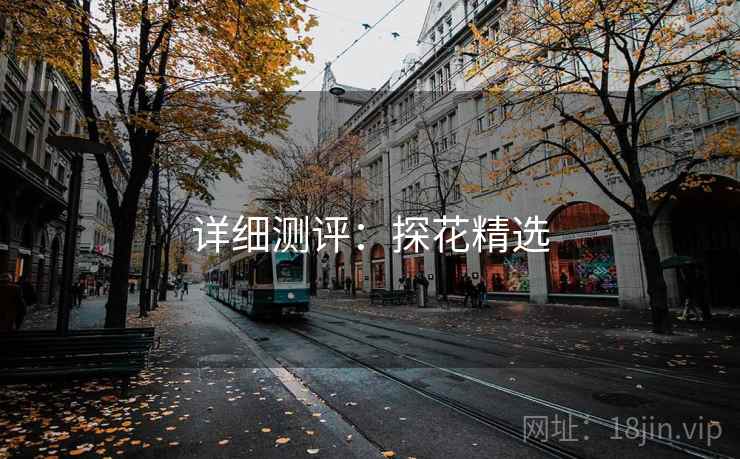 详细测评:探花精选