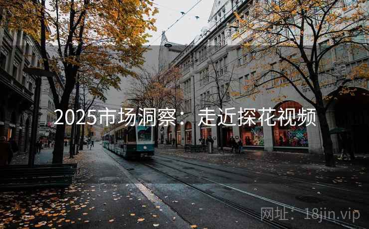 2025市场洞察：走近探花视频