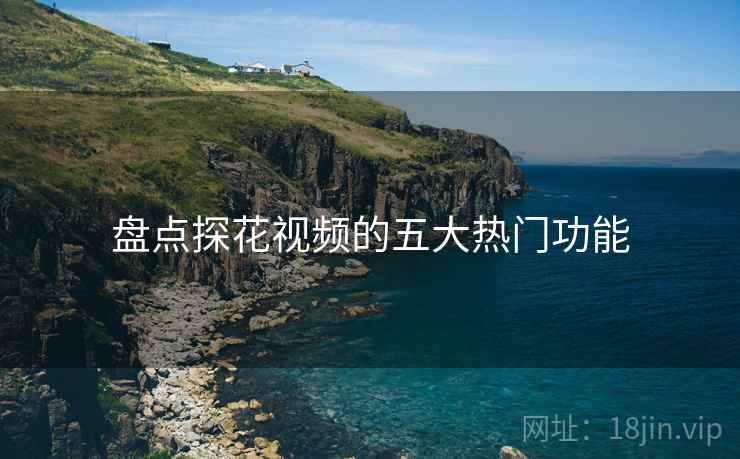 盘点探花视频的五大热门功能