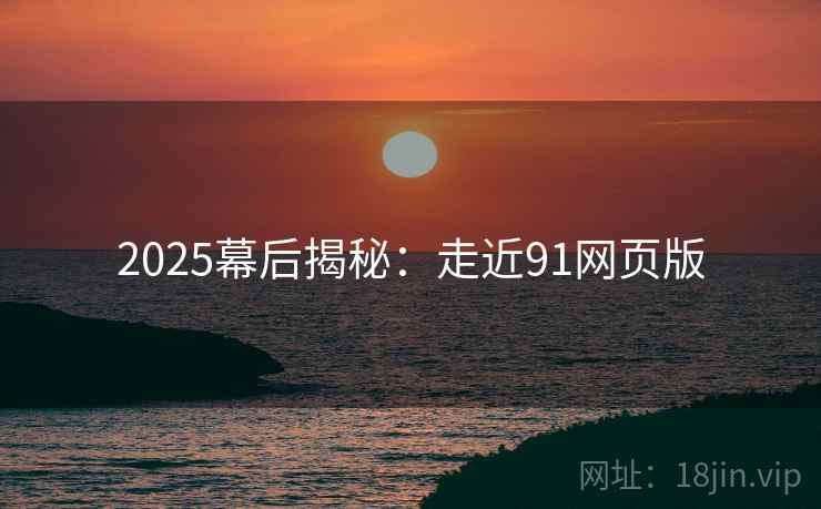 2025幕后揭秘：走近91网页版