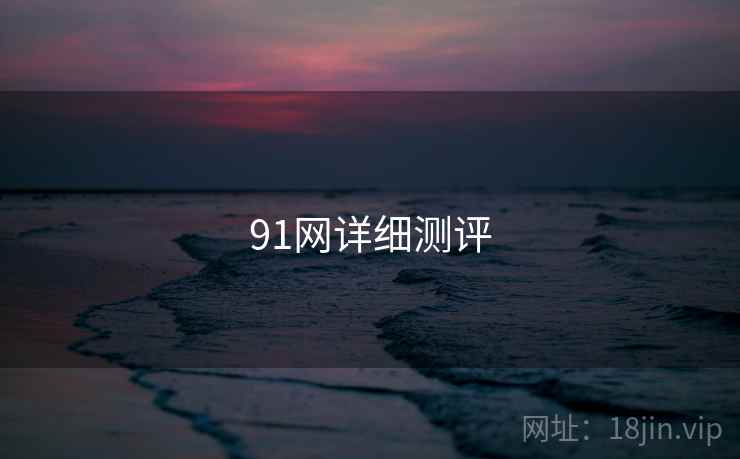 91网详细测评
