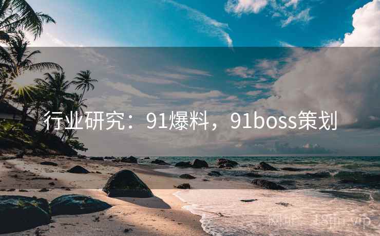 行业研究：91爆料，91boss策划