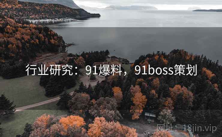 行业研究：91爆料，91boss策划