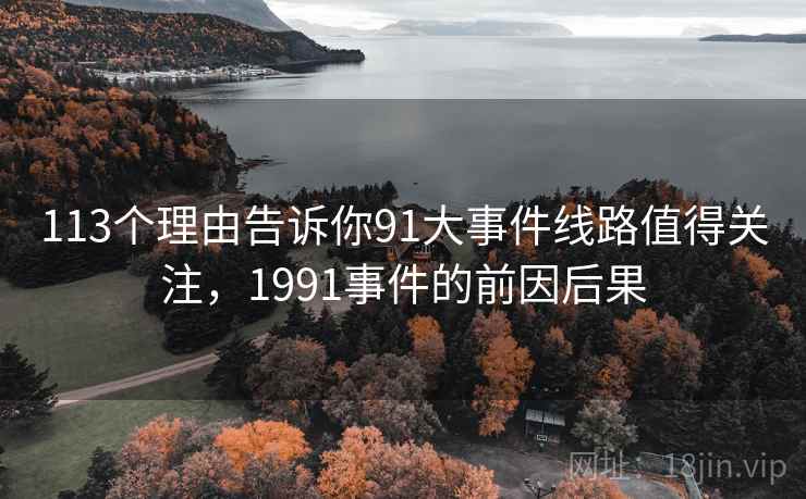 113个理由告诉你91大事件线路值得关注，1991事件的前因后果