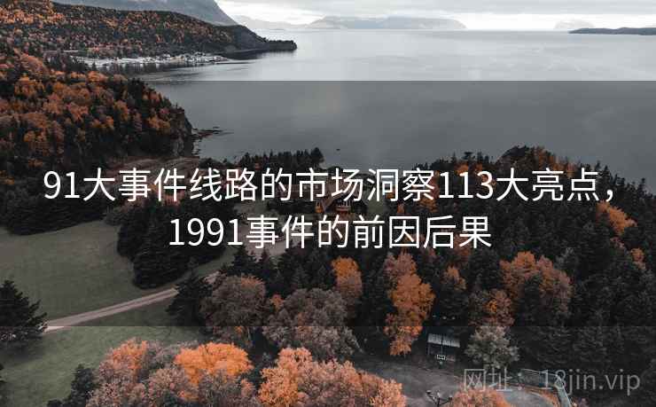 91大事件线路的市场洞察113大亮点，1991事件的前因后果
