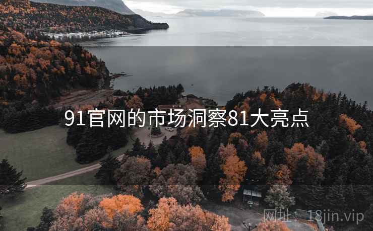91官网的市场洞察81大亮点