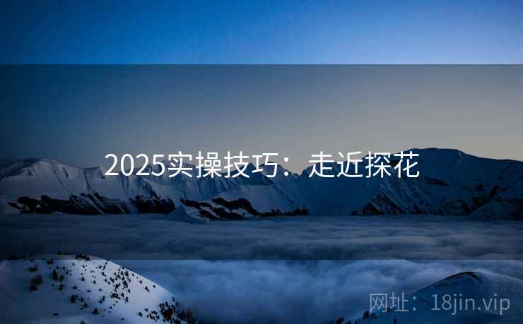 2025实操技巧：走近探花