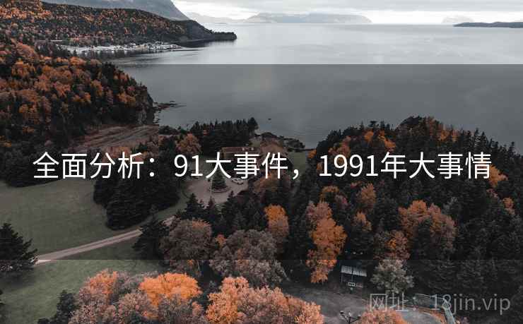 全面分析：91大事件，1991年大事情