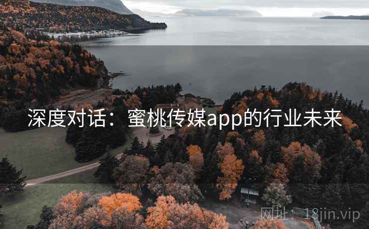 深度对话：蜜桃传媒app的行业未来