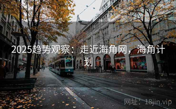 2025趋势观察：走近海角网，海角计划