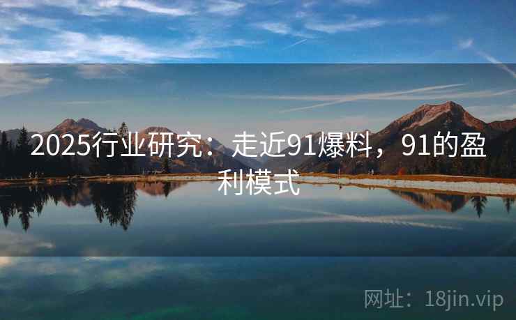 2025行业研究：走近91爆料，91的盈利模式