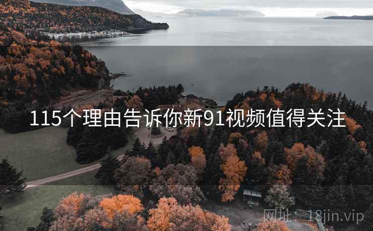115个理由告诉你新91视频值得关注